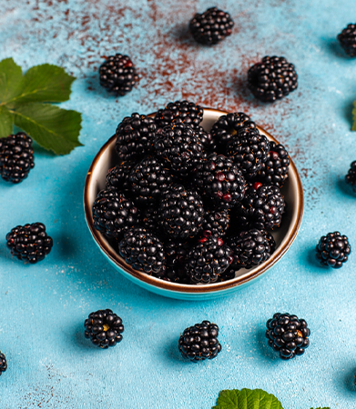 Gallary-Blackberry-primerfarms