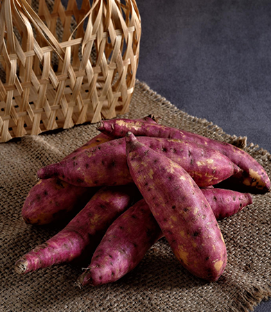 Gallary-Sweet Potato-primerfarms
