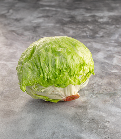 Gallary-Iceberg Lettuce-primerfarms