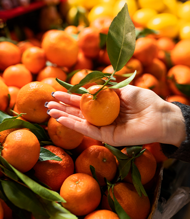 Gallary-Mandarin-primerfarms