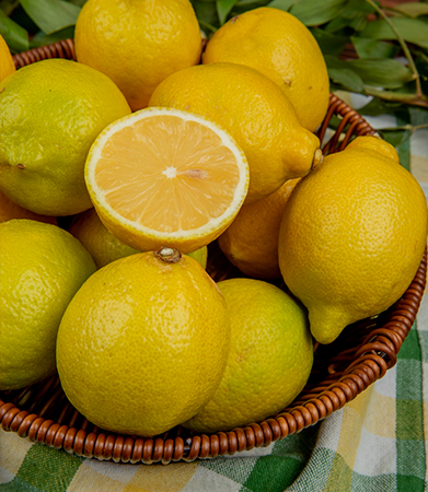 Gallary-lemon-primerfarms