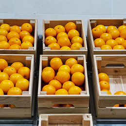 professional packaging