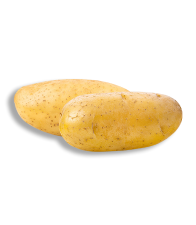 بطاطس
