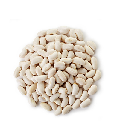 فاصوليا بيضاء