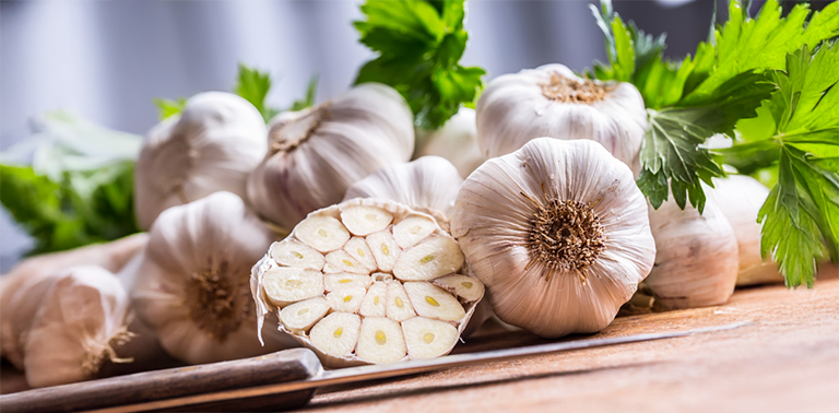 Garlic